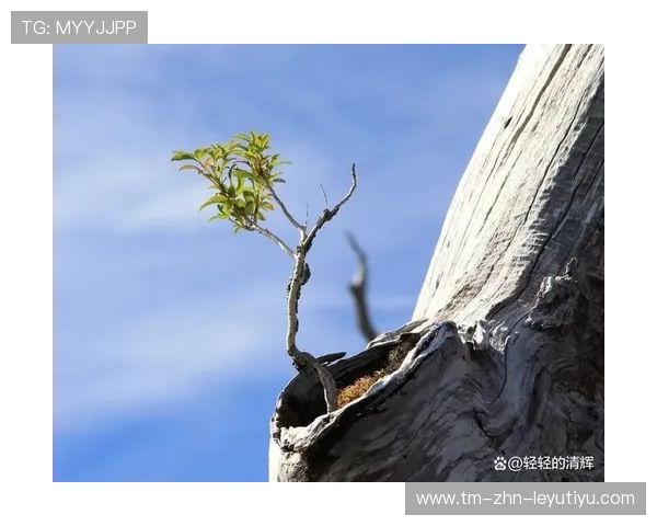 逆境奋战:那些在逆境中创造奇迹的团队,五个在逆境中奋起的事例 逆境奋战:那些在逆境中创造奇迹的团队,五个在逆境中奋起的事例